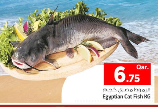 متوفر لدى مارك & سيف في قطر - الوكرة