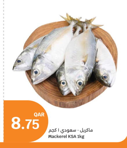available at سيتي هايبرماركت in قطر - أم صلال