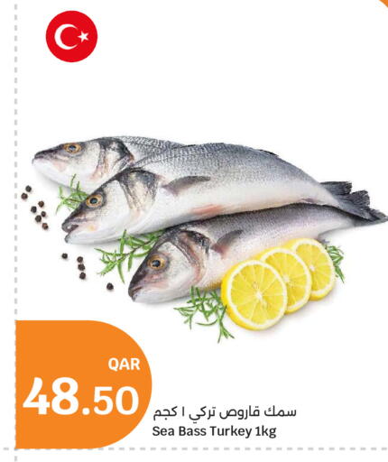 available at سيتي هايبرماركت in قطر - أم صلال