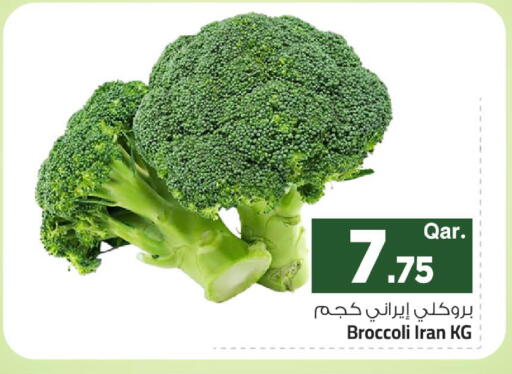 Broccoli من Iran متوفر لدى مارك & سيف في قطر - الوكرة