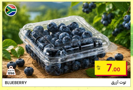Blueberry BlueBerry available at البلدي اليوم in قطر - الريان