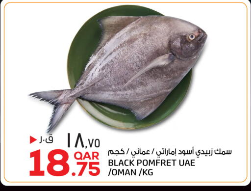 متوفر لدى السعودية في قطر - الخور