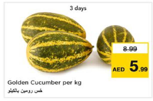 Cucumber متوفر لدى نستو هايبرماركت في الإمارات العربية المتحدة , الامارات - أبو ظبي