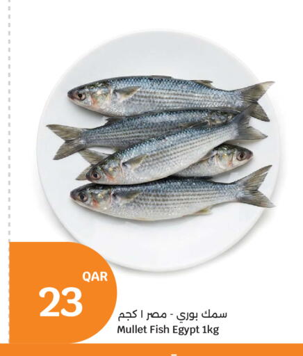 available at سيتي هايبرماركت in قطر - الدوحة