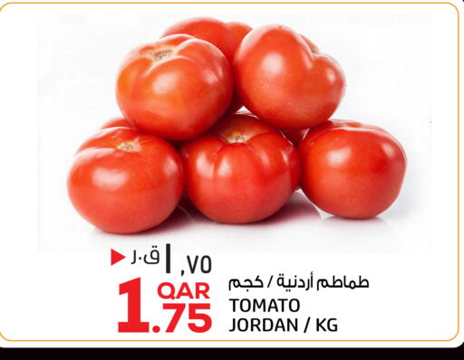 Tomato from Jordan available at Saudia Hypermarket in Qatar - Al Wakra