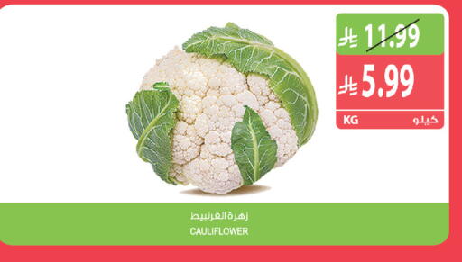 Cauliflower متوفر لدى المزرعة في مملكة العربية السعودية, السعودية, سعودية - الخفجي