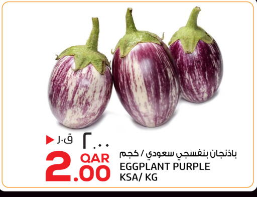 Eggplant متوفر لدى السعودية في قطر - الخور
