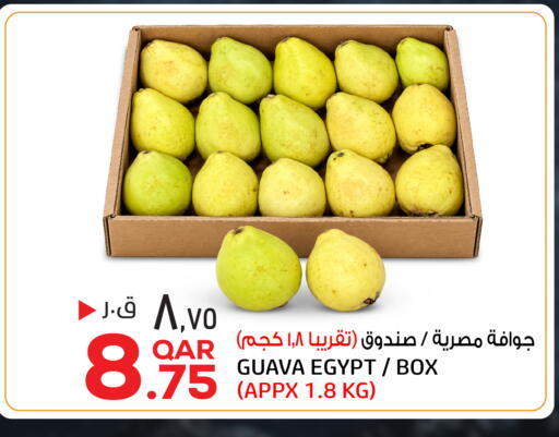 Guava من Egypt متوفر لدى السعودية في قطر - الخور