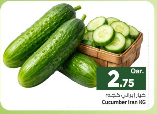Cucumber من Iran متوفر لدى مارك & سيف في قطر - الوكرة