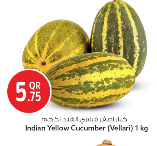 Cucumber from India available at Safari Hypermarket in Qatar - Al Wakra