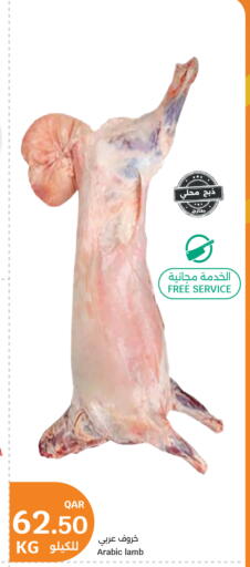 متوفر لدى سيتي هايبرماركت في قطر - أم صلال