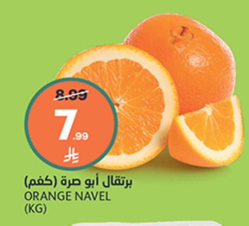 Orange متوفر لدى أسواق الجزيرة في مملكة العربية السعودية, السعودية, سعودية - الرياض