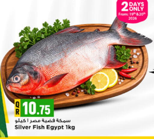available at Marza Hypermarket in Qatar - Al Wakra
