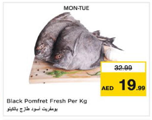 متوفر لدى نستو هايبرماركت في الإمارات العربية المتحدة , الامارات - أبو ظبي