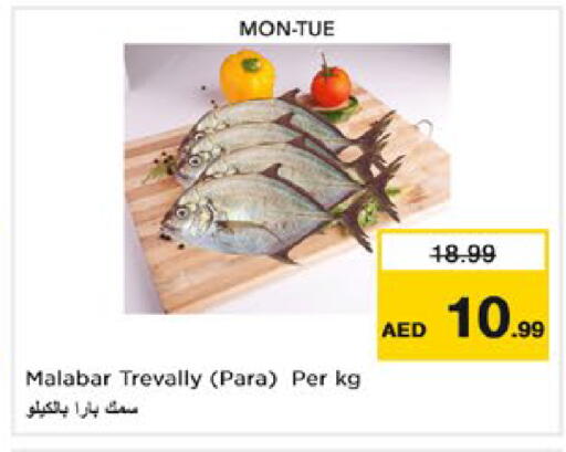 متوفر لدى نستو هايبرماركت في الإمارات العربية المتحدة , الامارات - أبو ظبي