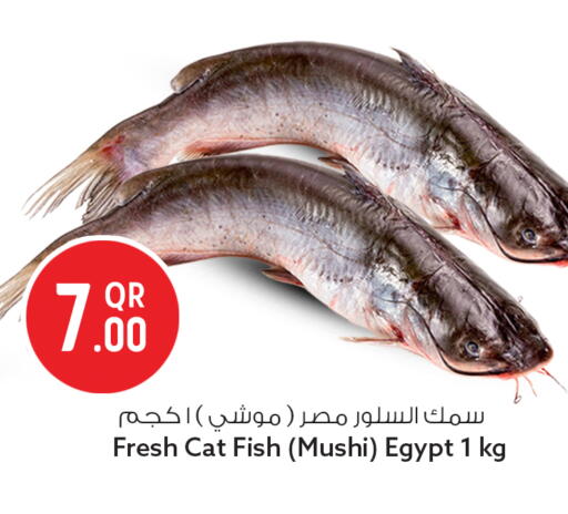 available at Safari Hypermarket in Qatar - Al Wakra