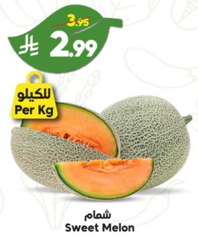 Melon متوفر لدى الدكان في مملكة العربية السعودية, السعودية, سعودية - ينبع