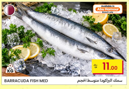 available at البلدي اليوم in قطر - الريان