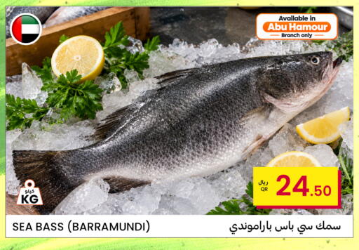 available at البلدي اليوم in قطر - الريان