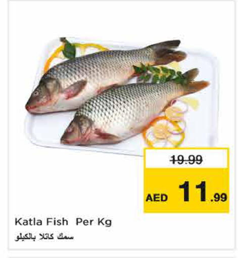 available at Nesto Hypermarket in UAE - Dubai