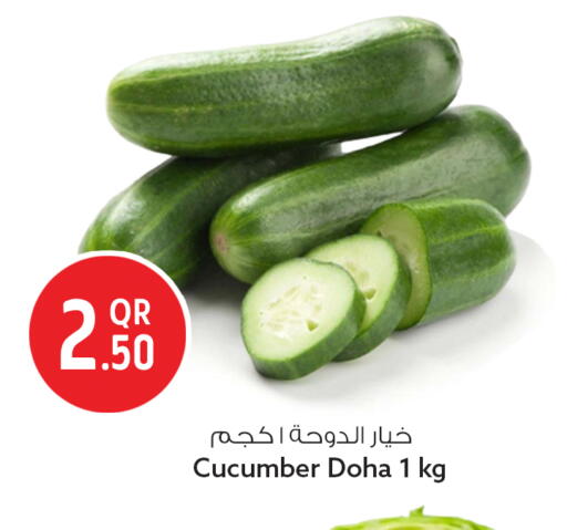 Cucumber from Qatar available at Safari Hypermarket in Qatar - Al Wakra