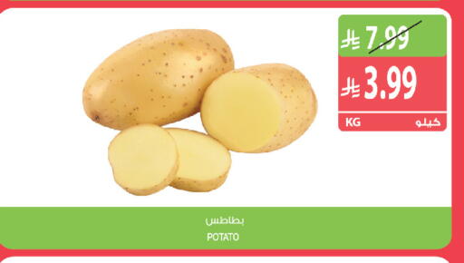 Potato متوفر لدى المزرعة في مملكة العربية السعودية, السعودية, سعودية - الخفجي