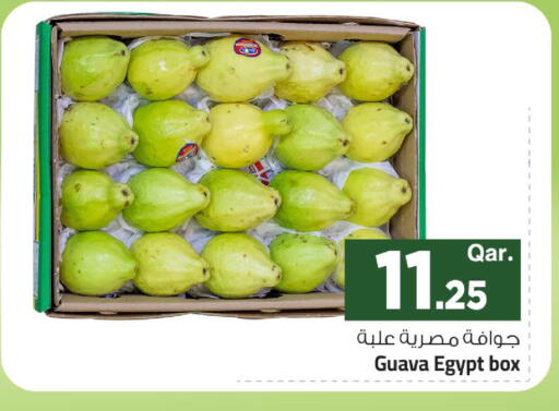 Guava من Egypt متوفر لدى مارك & سيف في قطر - الوكرة