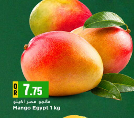 Mango من Egypt متوفر لدى مرزا هايبرماركت في قطر - أم صلال
