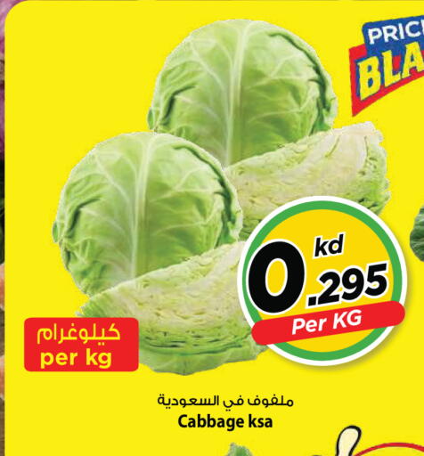 Cabbage available at Mark & Save in Kuwait - Ahmadi Governorate