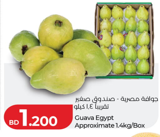 Guava from Egypt available at LuLu Hypermarket in Bahrain