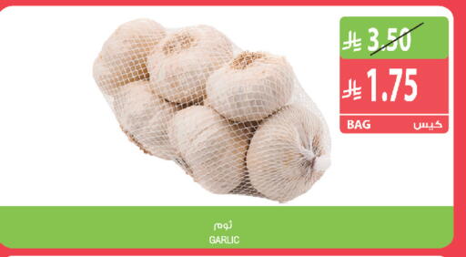 Garlic متوفر لدى المزرعة في مملكة العربية السعودية, السعودية, سعودية - الخفجي