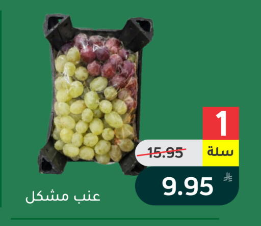 Apple available at Green Apple Market in KSA, Saudi Arabia, Saudi - Al Hasa
