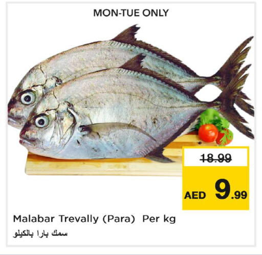 متوفر لدى نستو هايبرماركت في الإمارات العربية المتحدة , الامارات - ٱلْعَيْن‎