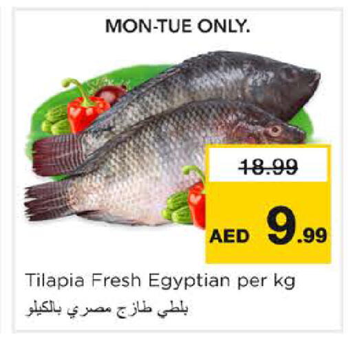 متوفر لدى نستو هايبرماركت في الإمارات العربية المتحدة , الامارات - الشارقة / عجمان