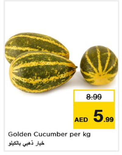 Cucumber متوفر لدى نستو هايبرماركت في الإمارات العربية المتحدة , الامارات - ٱلْفُجَيْرَة‎