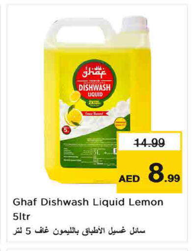 Lemon متوفر لدى لاست تشانس في الإمارات العربية المتحدة , الامارات - ٱلْفُجَيْرَة‎