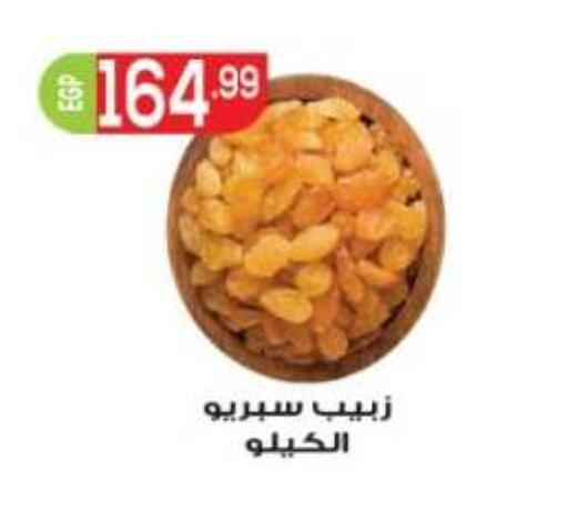 متوفر لدى أولاد المحاوى في Egypt - القاهرة