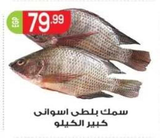 متوفر لدى أولاد المحاوى في Egypt - القاهرة