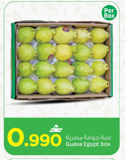 Guava من Egypt متوفر لدى مارك & سايف في عُمان - صُحار‎