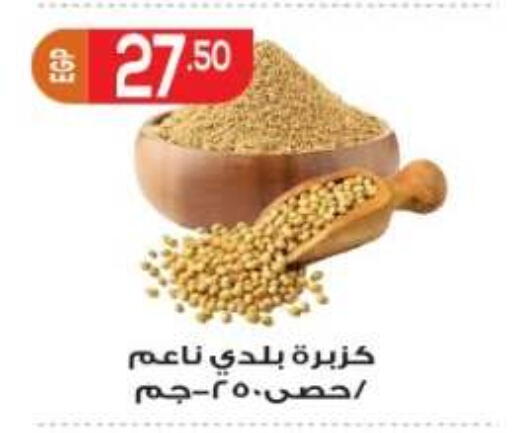 available at El mhallawy Sons in Egypt - Cairo