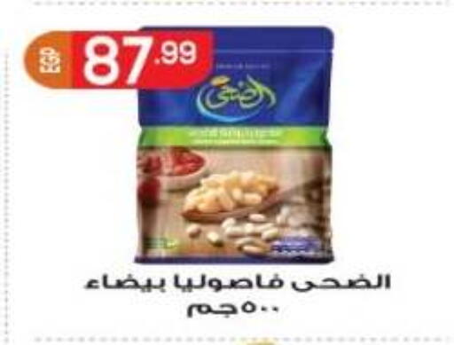 متوفر لدى أولاد المحاوى في Egypt - القاهرة