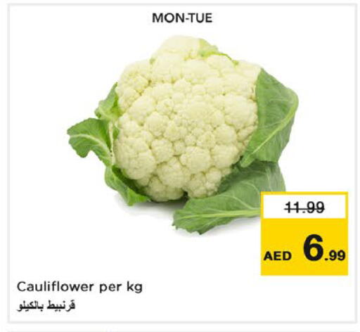 Cauliflower متوفر لدى نستو هايبرماركت في الإمارات العربية المتحدة , الامارات - رَأْس ٱلْخَيْمَة