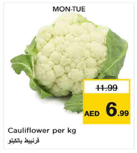 Cauliflower available at Last Chance  in UAE - Fujairah