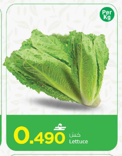 Lettuce متوفر لدى مارك & سايف في عُمان - صُحار‎