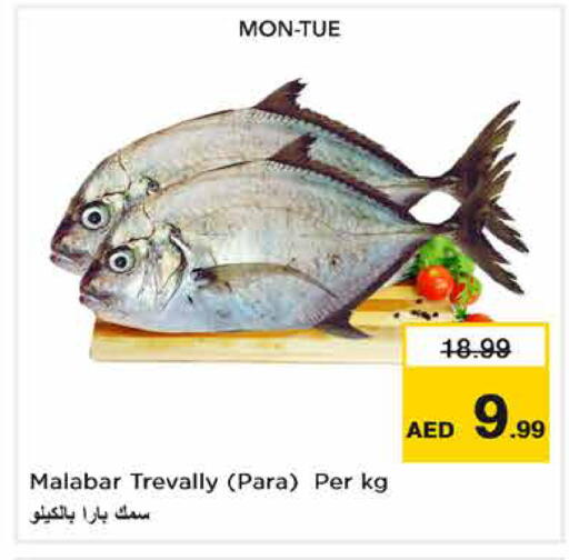 متوفر لدى نستو هايبرماركت في الإمارات العربية المتحدة , الامارات - رَأْس ٱلْخَيْمَة