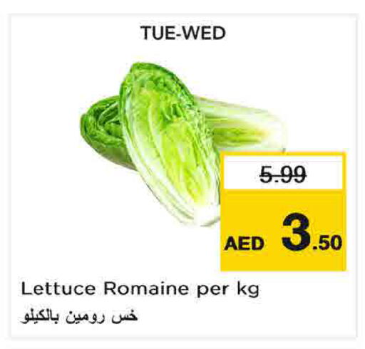 Lettuce available at Last Chance  in UAE - Fujairah