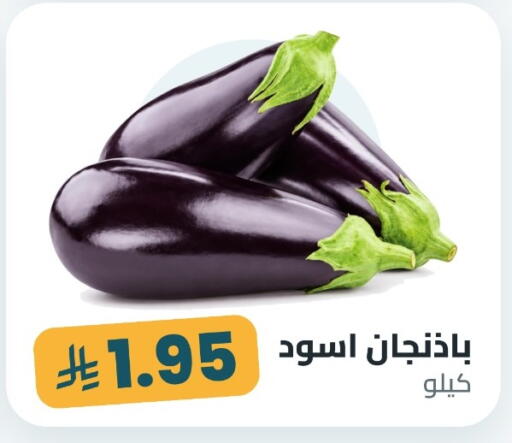 available at Tmoon Dammam in KSA, Saudi Arabia, Saudi - Dammam