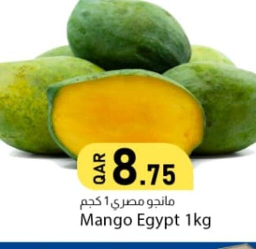 Mango من Egypt متوفر لدى دانا ماركت في قطر - الضعاين