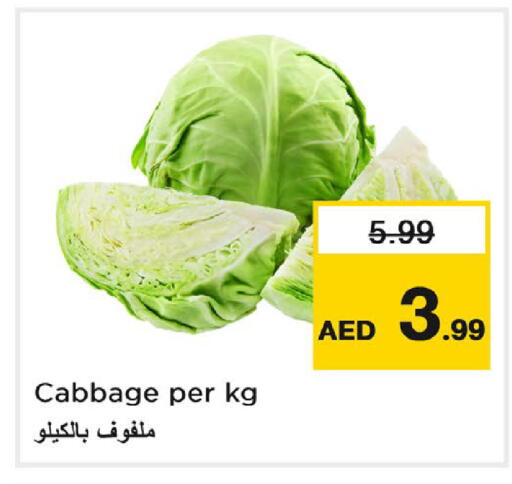 Cabbage متوفر لدى نستو هايبرماركت في الإمارات العربية المتحدة , الامارات - ٱلْعَيْن‎