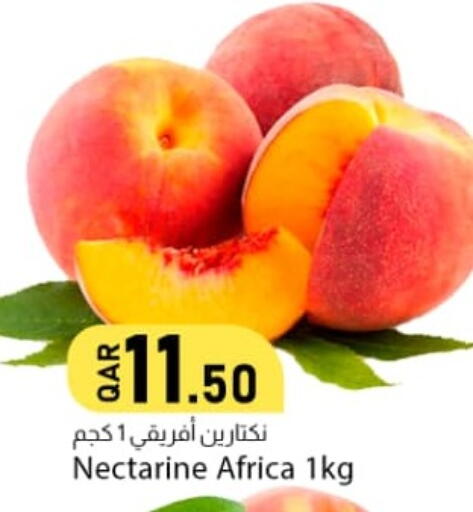 Nectarine متوفر لدى دانا ماركت في قطر - الضعاين